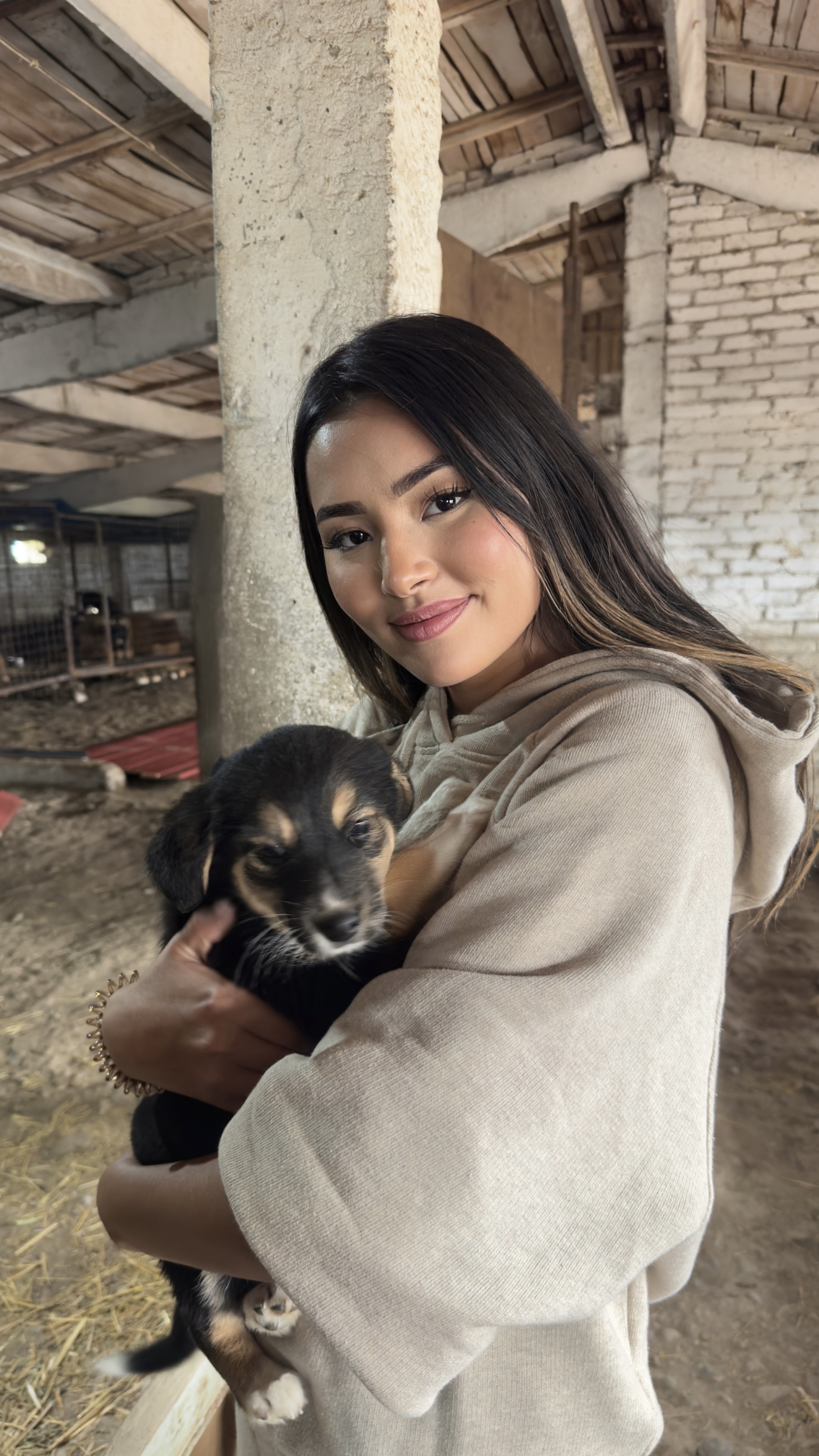 Animal Shelter