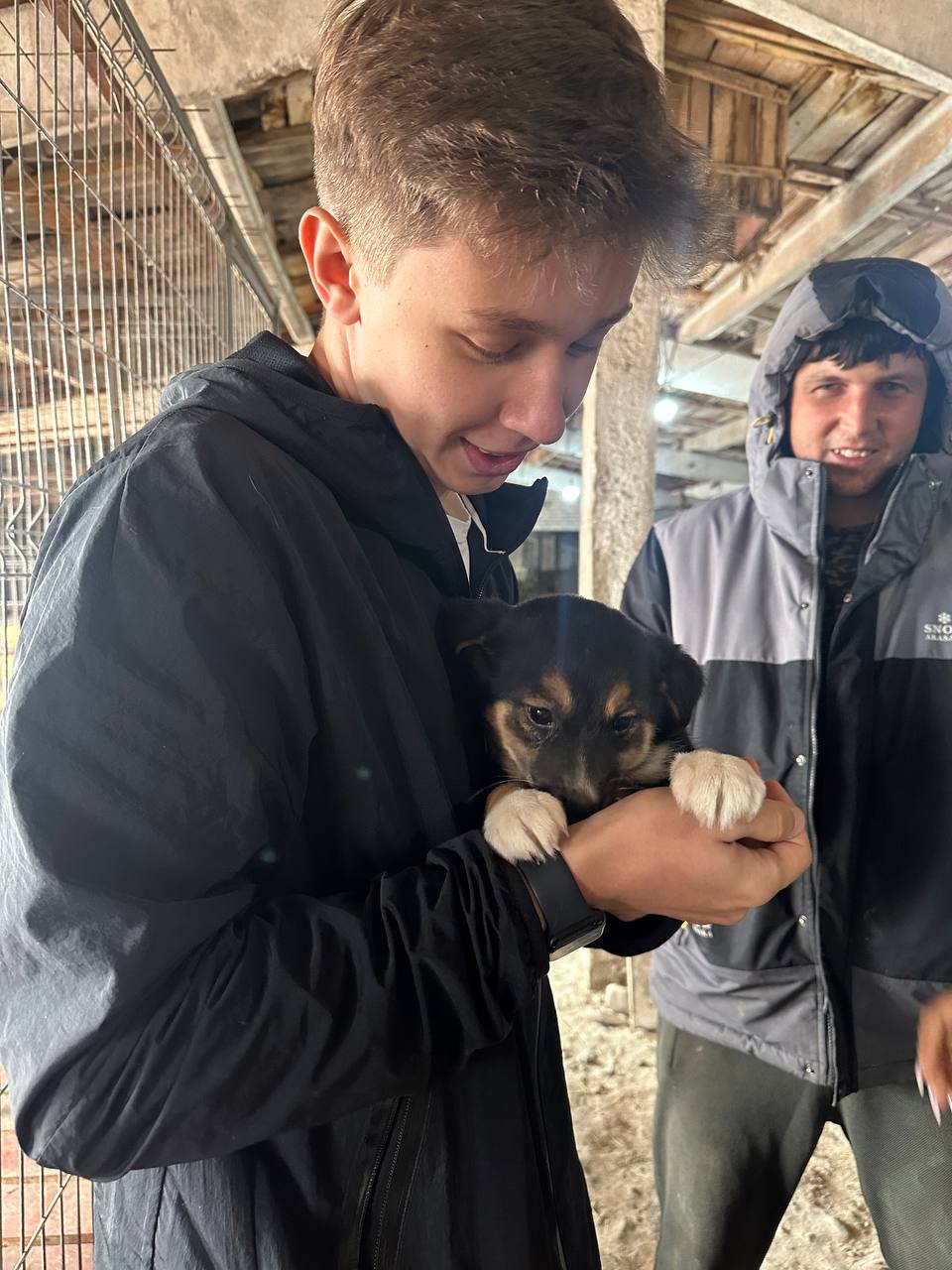 Animal Shelter
