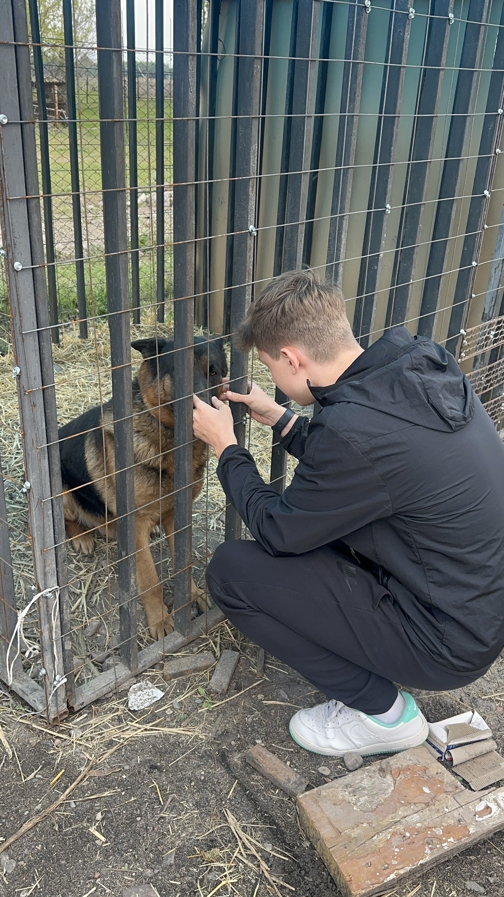 Animal Shelter